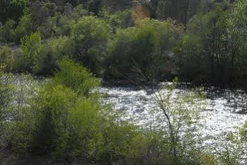 Corral Creek Lodge كيرنفيل المظهر الخارجي الصورة